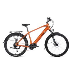 T-Bird Golden Gate 540Wh High Frame orange