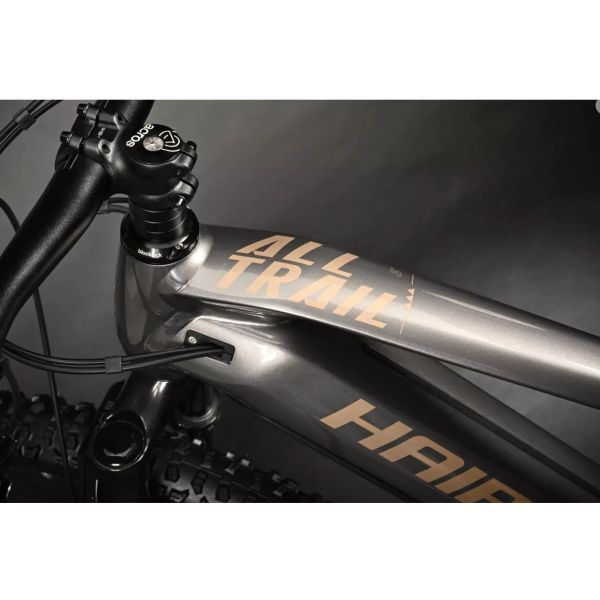 Haibike Alltrail 5 titan/caramel